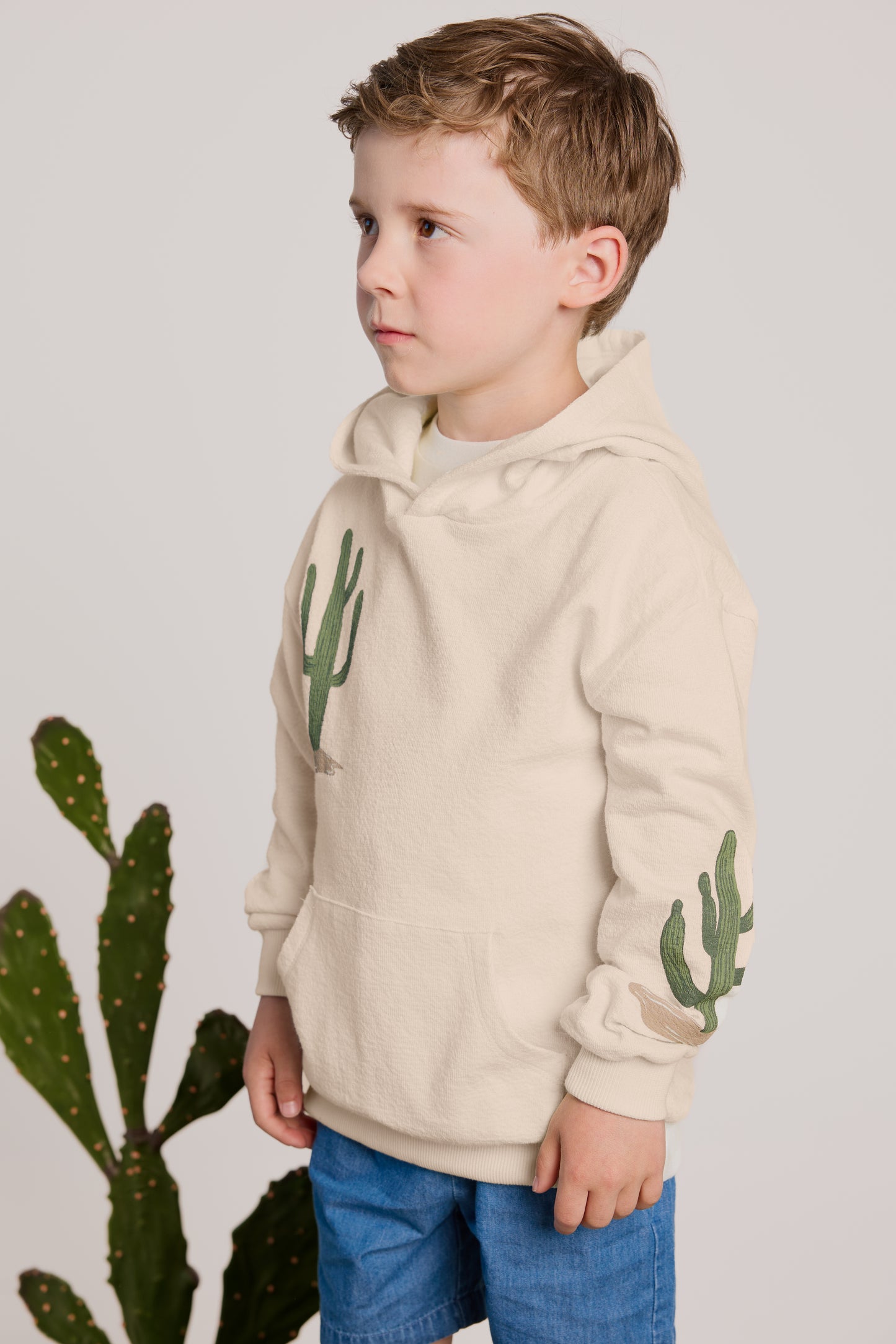 Knit Hooded Sweater - Cactus