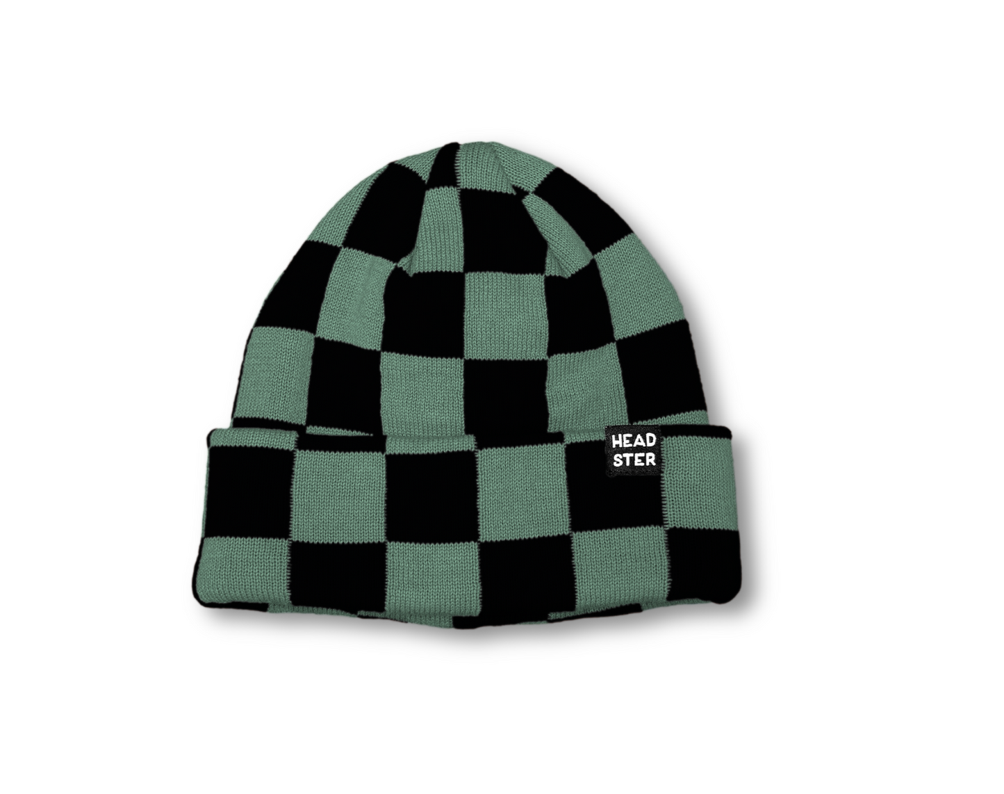 Check Yourself Beanie - Blue Spruce