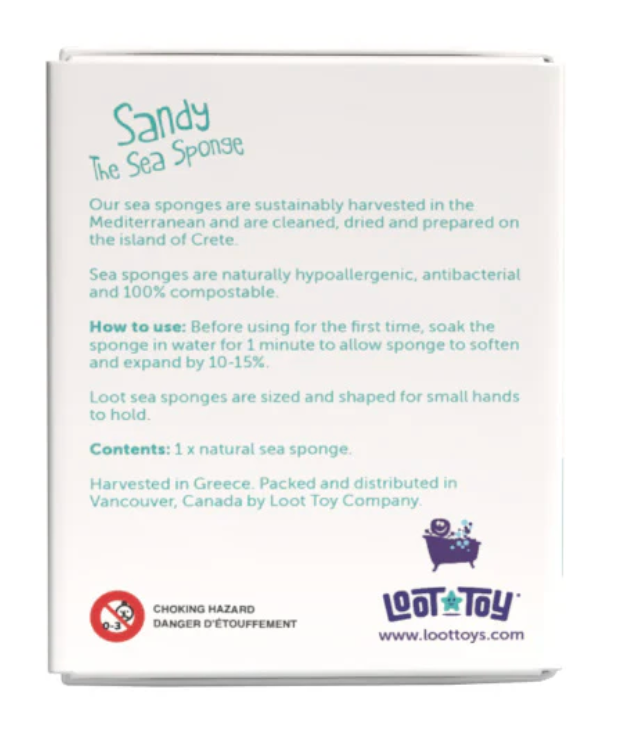 Sandy The Sea Sponge