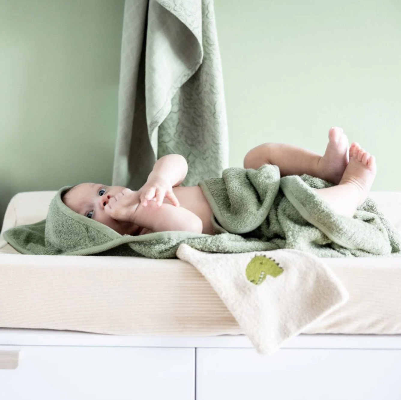Hooded Towel - Mr. Dino