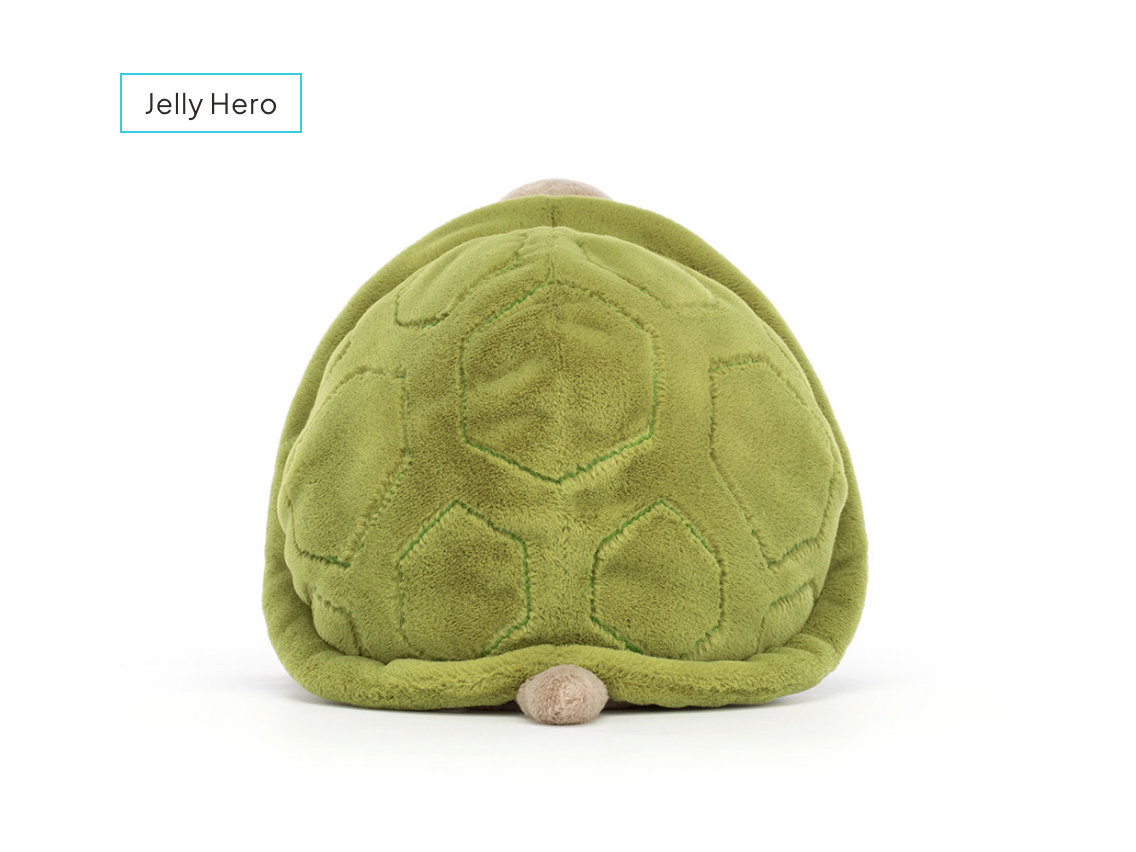 Timmy Turtle