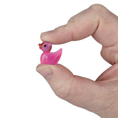 Teeny Tiny Ducks