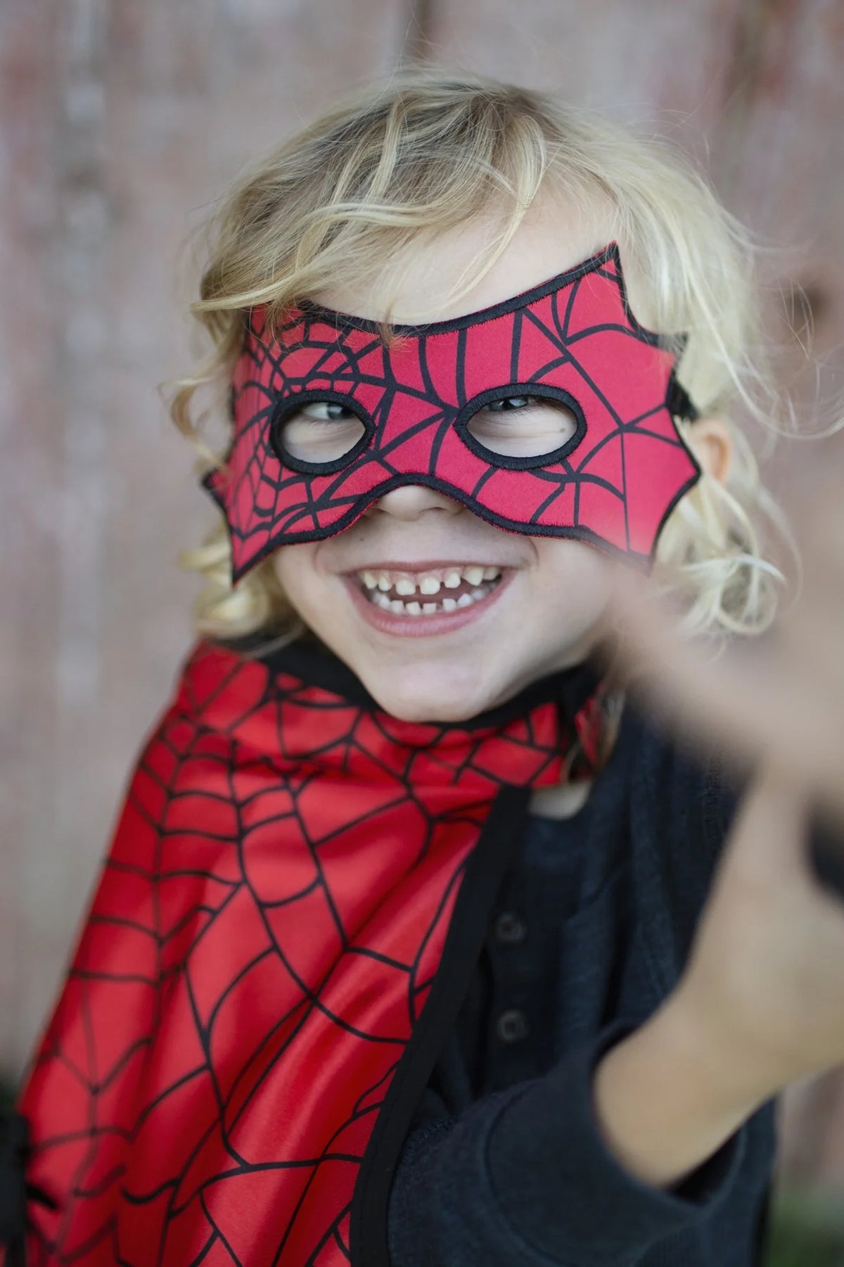 Reversible Spider/ Bat Cape and Mask