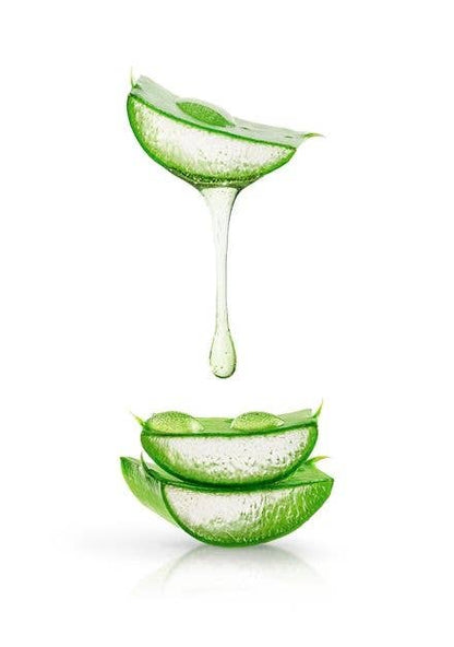 Aloe Mist Pocket Hand Sanitizer