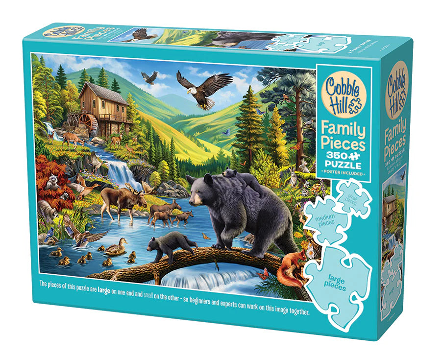 Family Puzzle - A Family Affair
