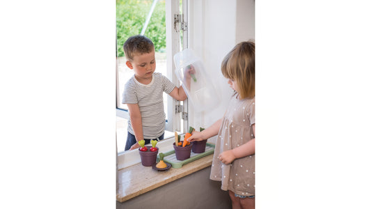 Green Garden Mini Greenhouse Set