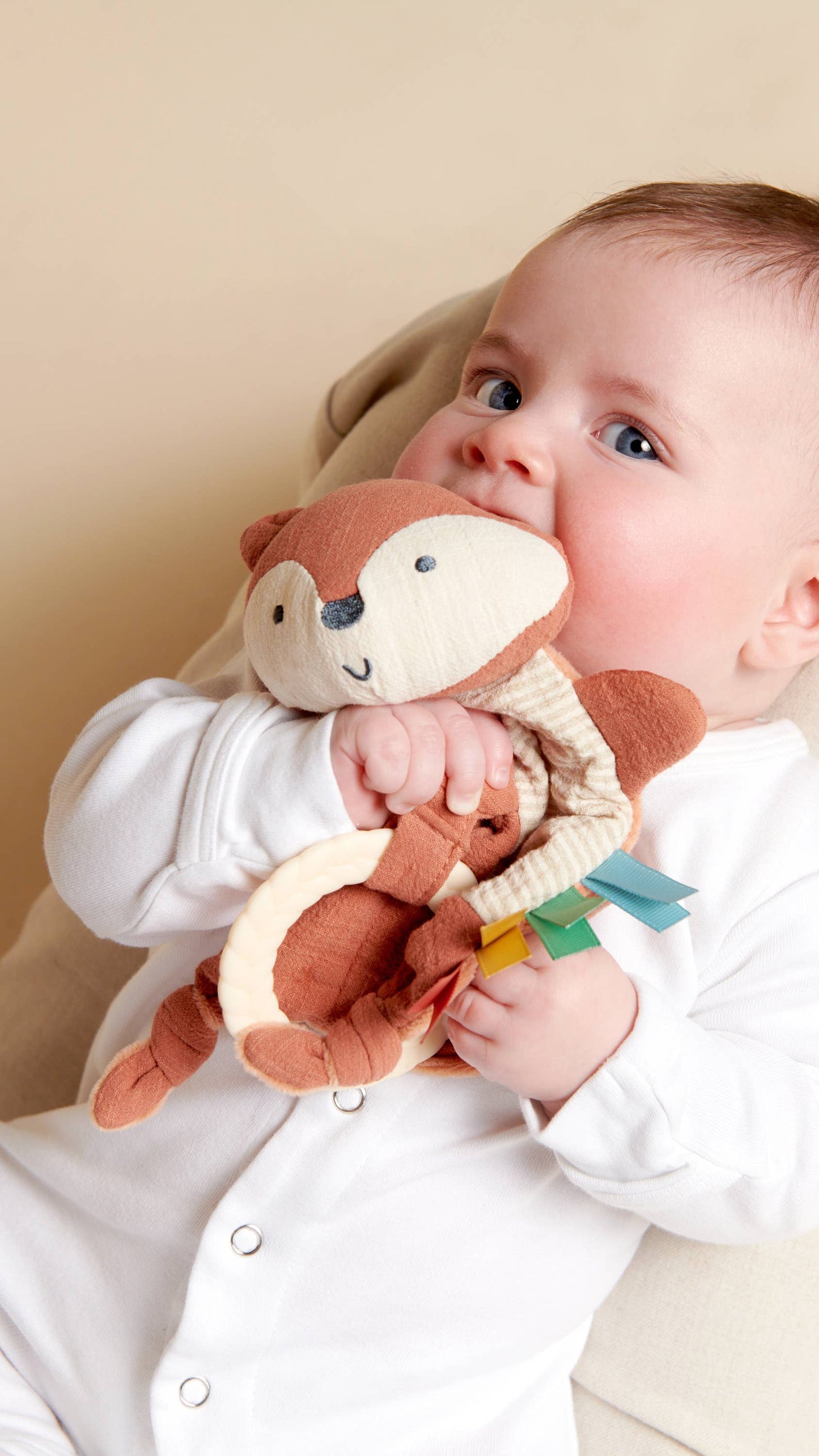 Bitzy Crinkle™ Sensory Toy With Teether