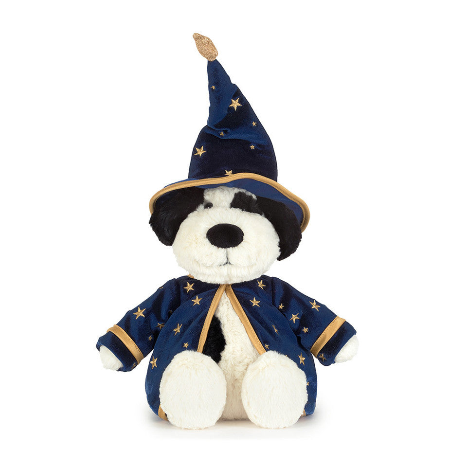 Rufferty Puppy Wizard Outfit