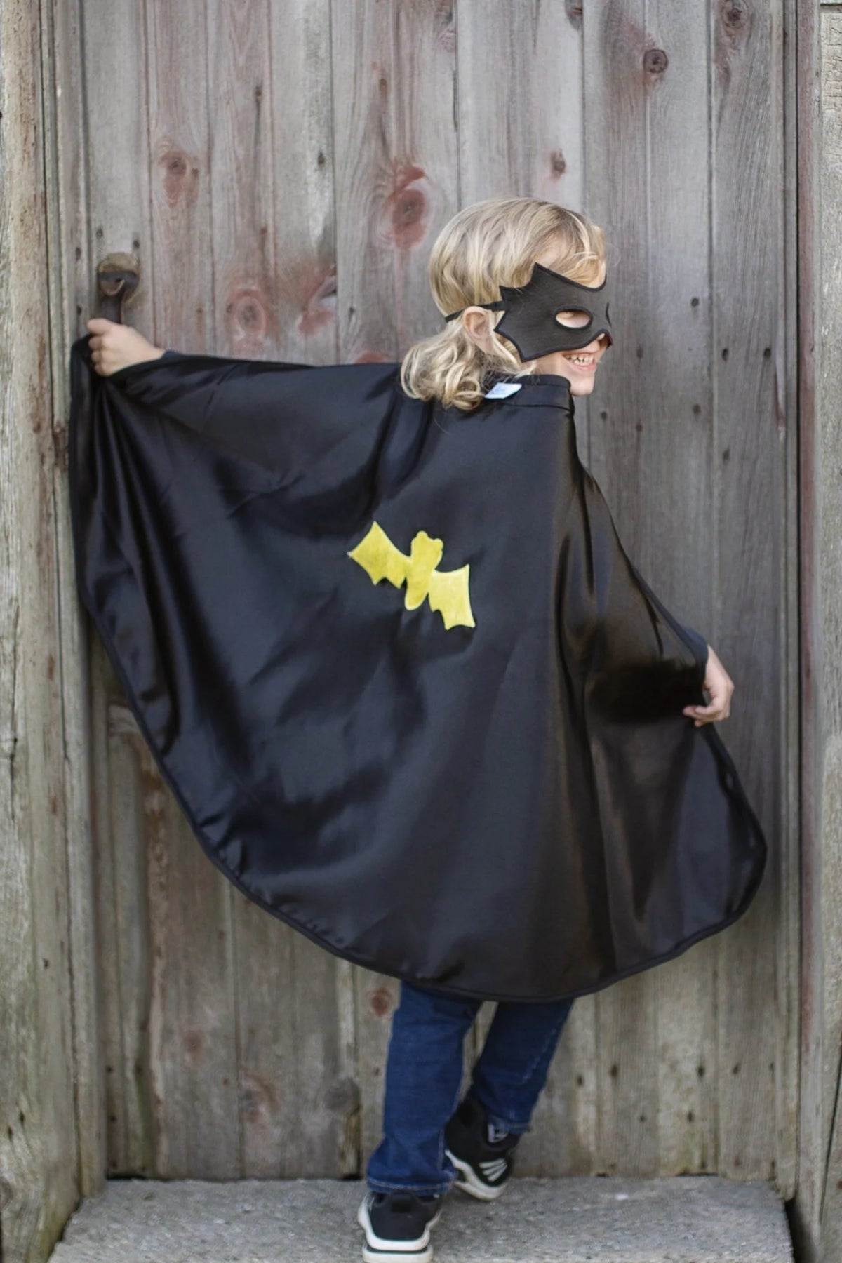 Reversible Spider/ Bat Cape and Mask