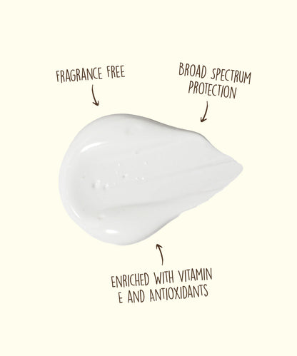 Sun Bum Face Lotion SPF 50