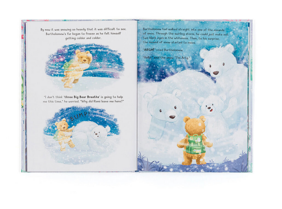 Bartholomew Bear and the Snow Giants Book