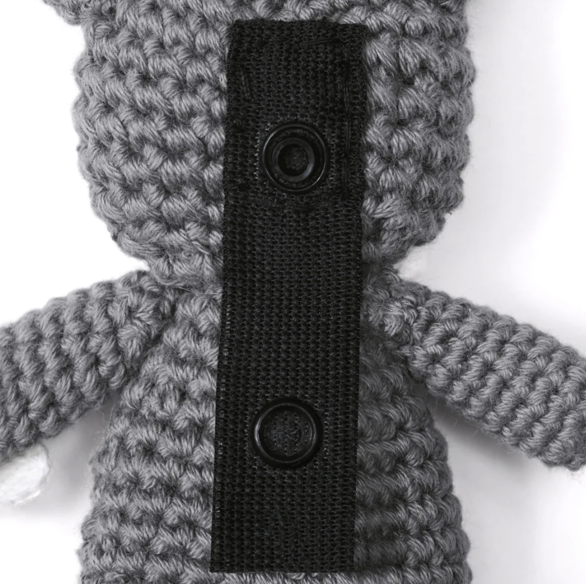 Our Little Treasures - Pocket Frenchie