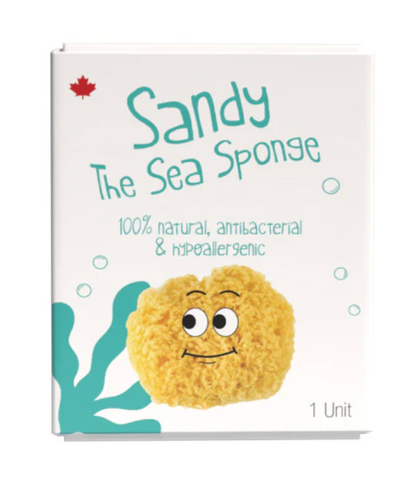 Sandy The Sea Sponge