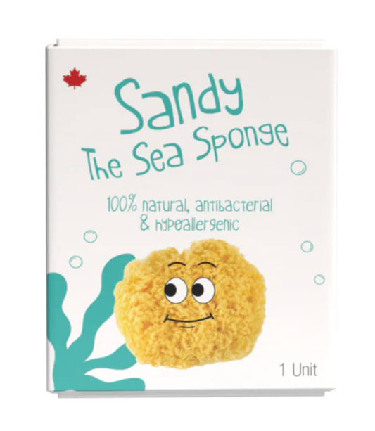 Sandy The Sea Sponge