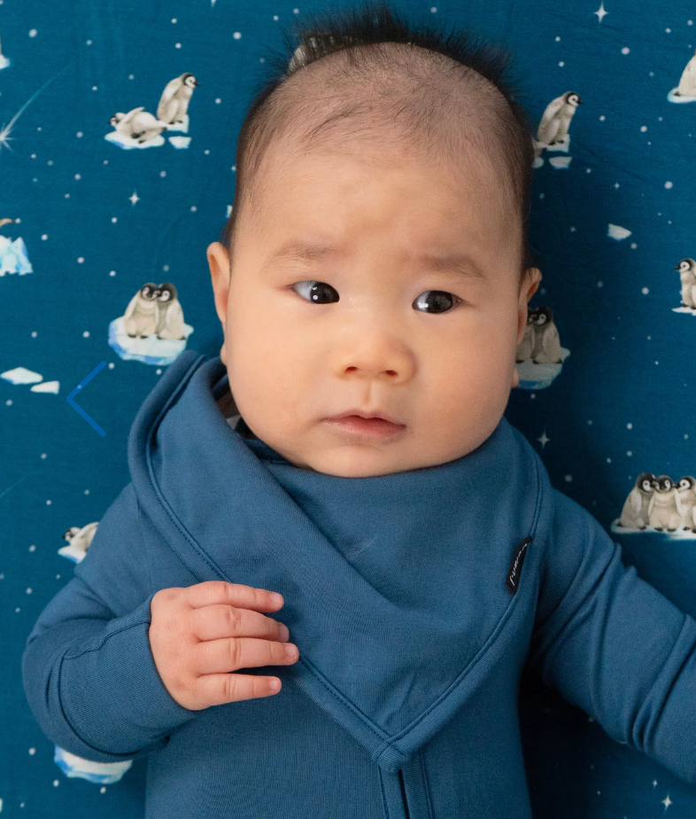 Bandana Bib - Night Sky