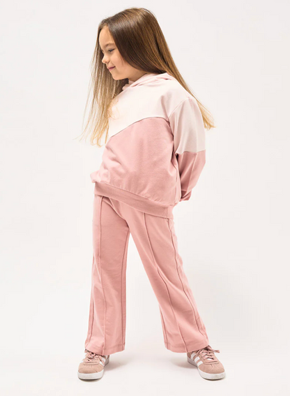 Hooded Sweatshirt and Pants Set - Pink