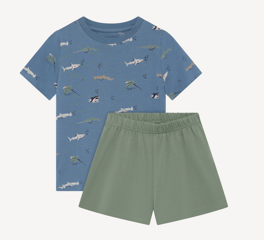 Tshirt and Short Set - Blue