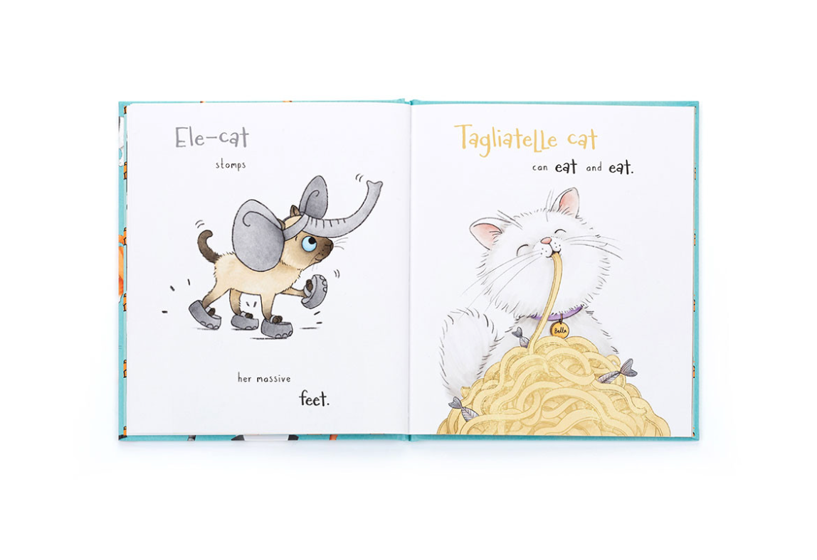 All Kinds of Cats Book