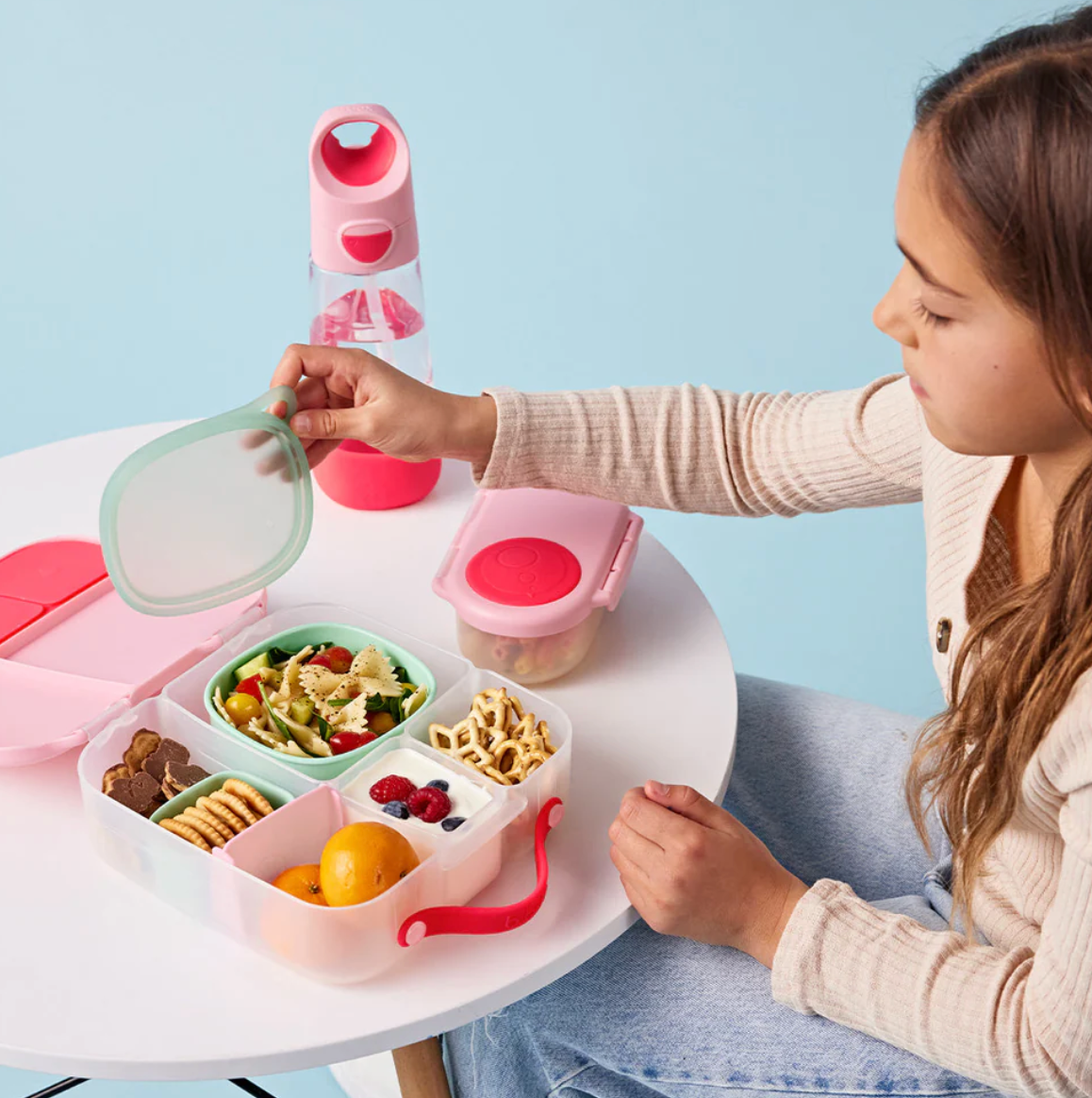 Lunch Tub - Berry