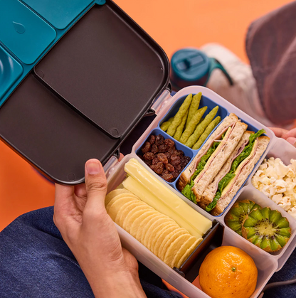 Lunchbox Silicone Bento Buddy - Ocean