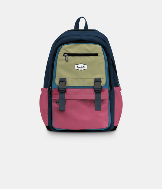 Colorblock 26L Backpack - Vintage Rose