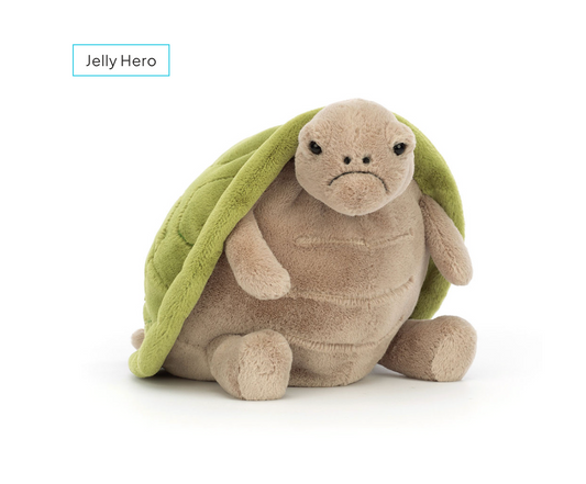 Timmy Turtle