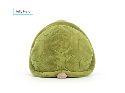 Timmy Turtle