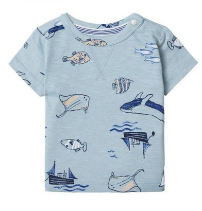 T-shirt and Shorts Bay - Arona