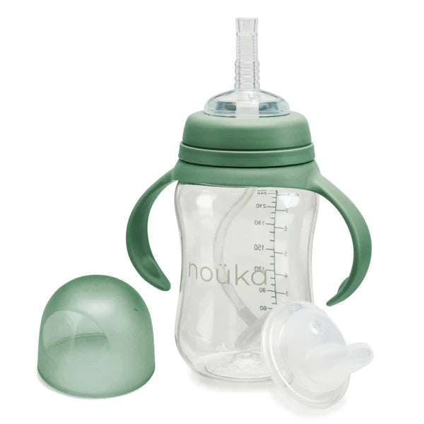 Transitional Sippy/Weighted Straw Cup - Fern