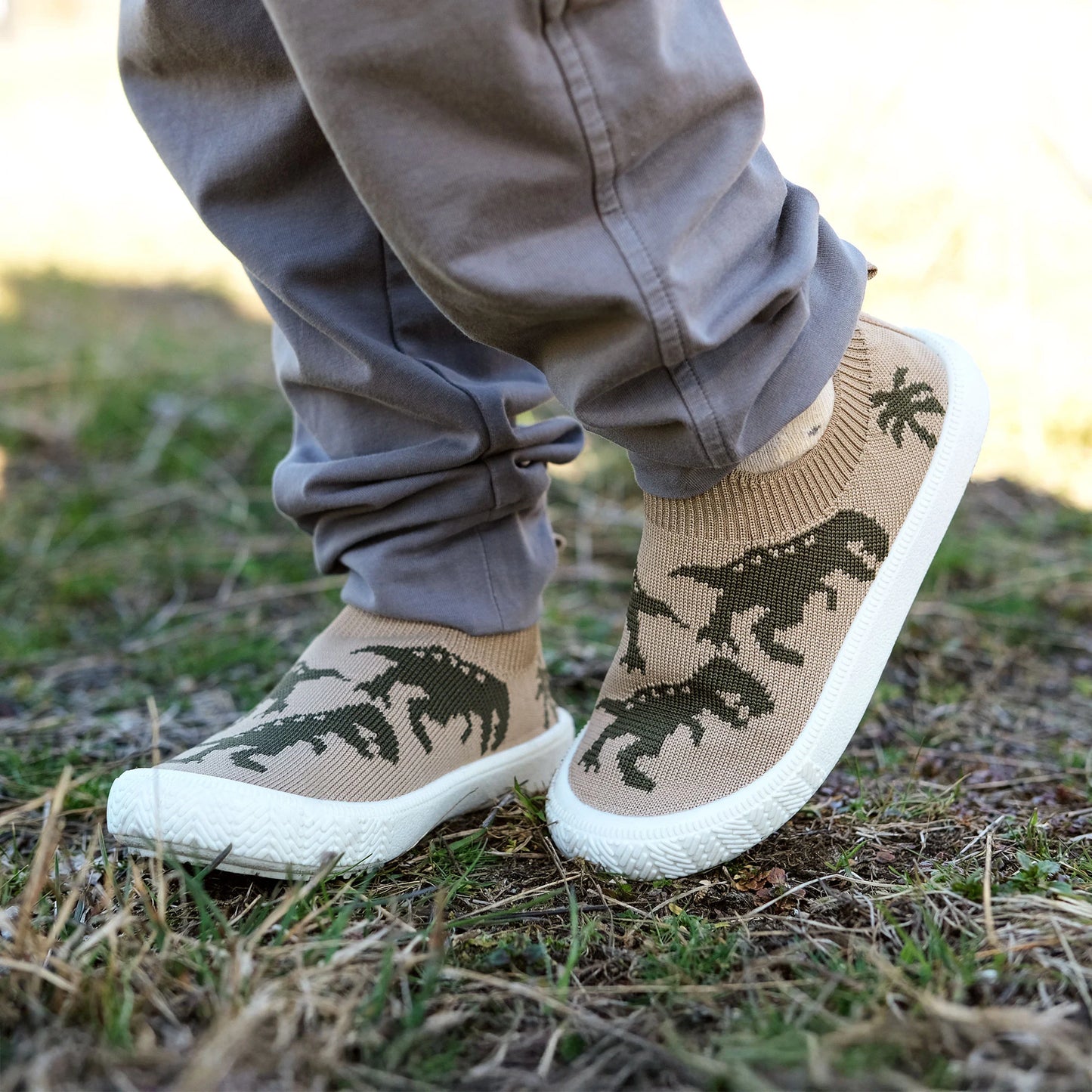 Kids Graphic Slip on Shoes - T-Rex